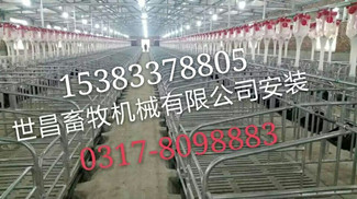 現(xiàn)代化豬場自動(dòng)化喂料系統(tǒng)