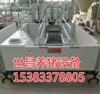 出售養(yǎng)豬設備廠家母豬產床廠家