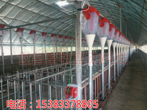 新建豬場自動(dòng)化喂料設(shè)備